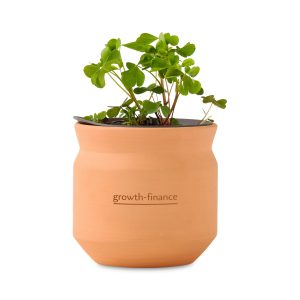 Custom Modern Sprout Tiny Terracotta Lucky to Have You - Terracotta