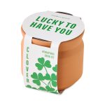 Custom Modern Sprout Tiny Terracotta Lucky to Have You - Terracotta - 6