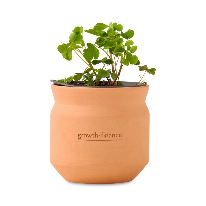 Custom Modern Sprout Tiny Terracotta Lucky to Have You - Terracotta
